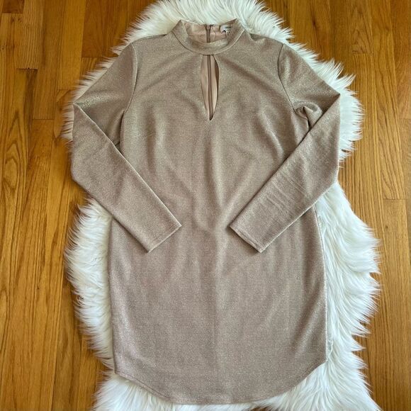 Women’s Forever 21 Gorgeous Dress Size 2X - Picture 1 of 4